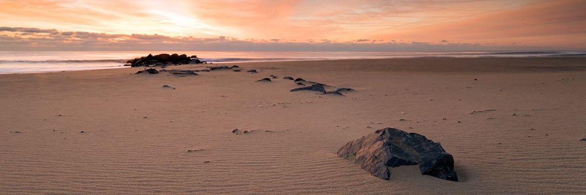 blinki219's profile banner image