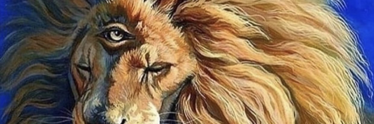 ___DW3's profile banner image