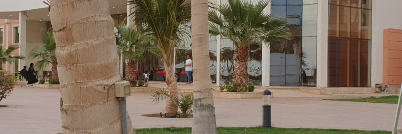 حسن العباسي banner