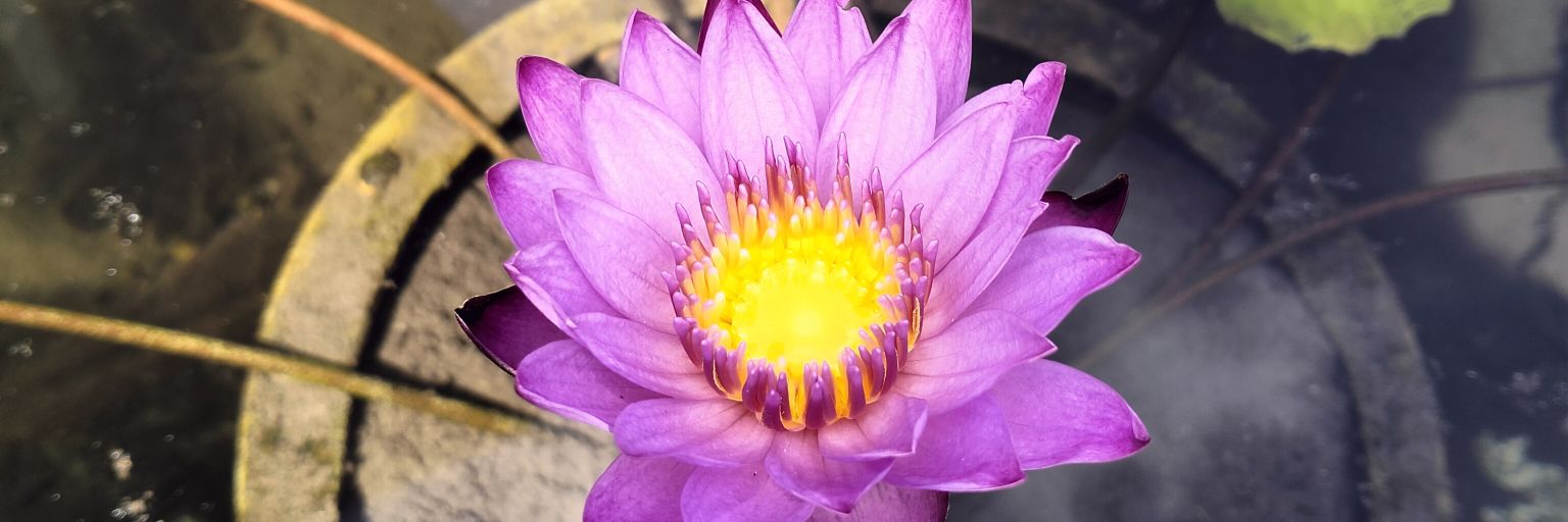 PDiantara's profile banner image