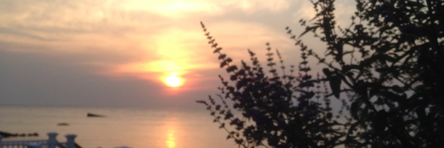 susanberkey's profile banner image