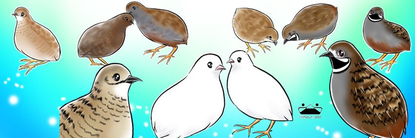 mz_minakami's profile banner image