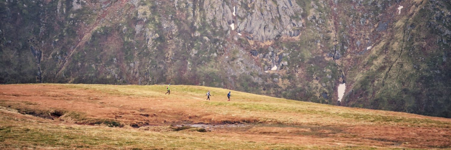 Bruno Foubert banner