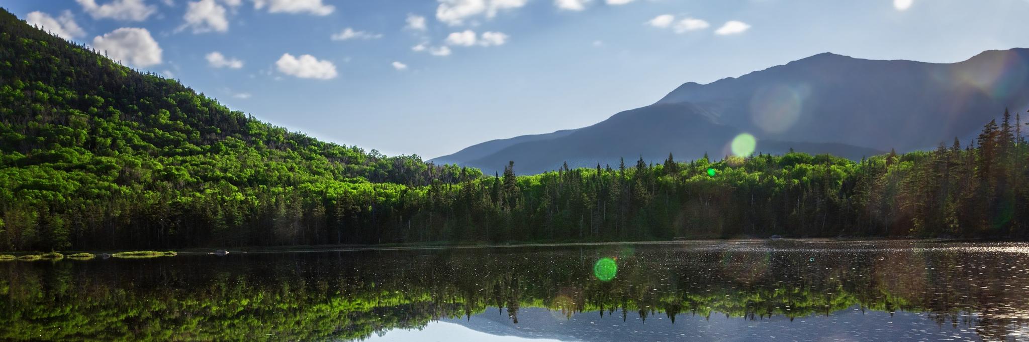 AllMountainNH's profile banner image
