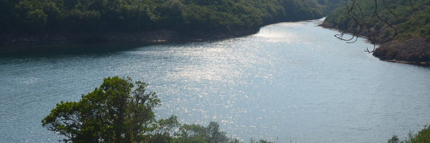 Sevil Biçer banner