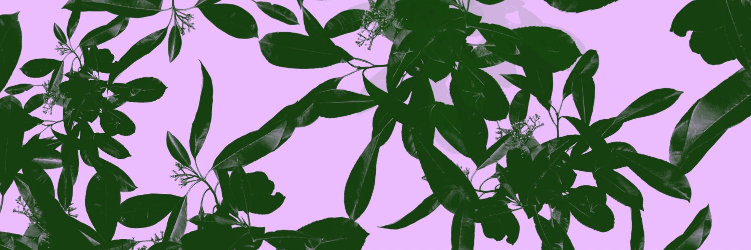 PandaPuff98's profile banner image