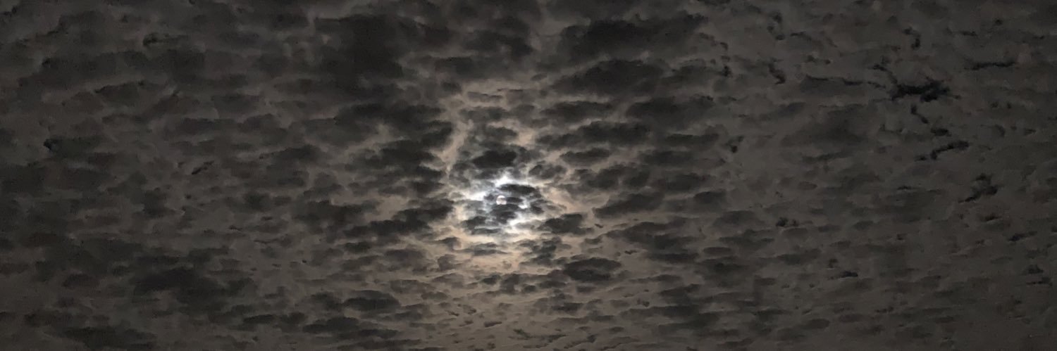manolozerrweck's profile banner image