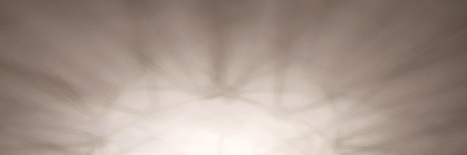 6e97bf5567624ae's profile banner image