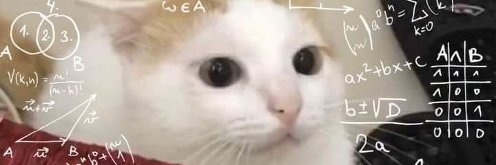 Danone_chan's profile banner image
