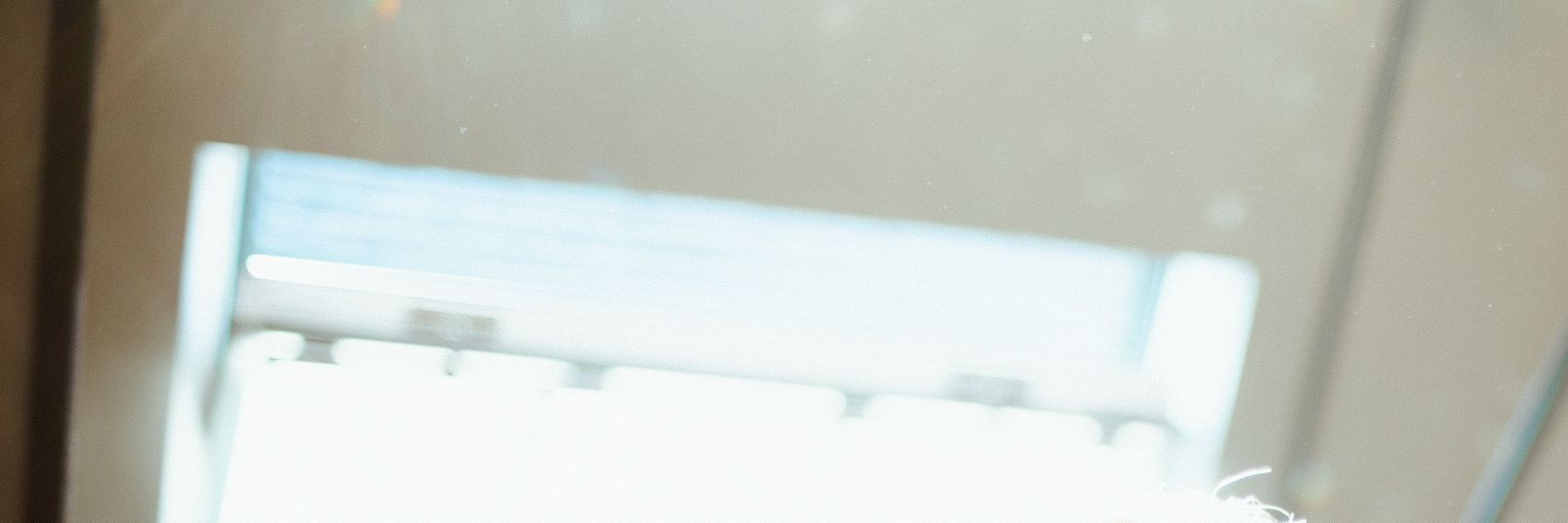 This Little Bird banner