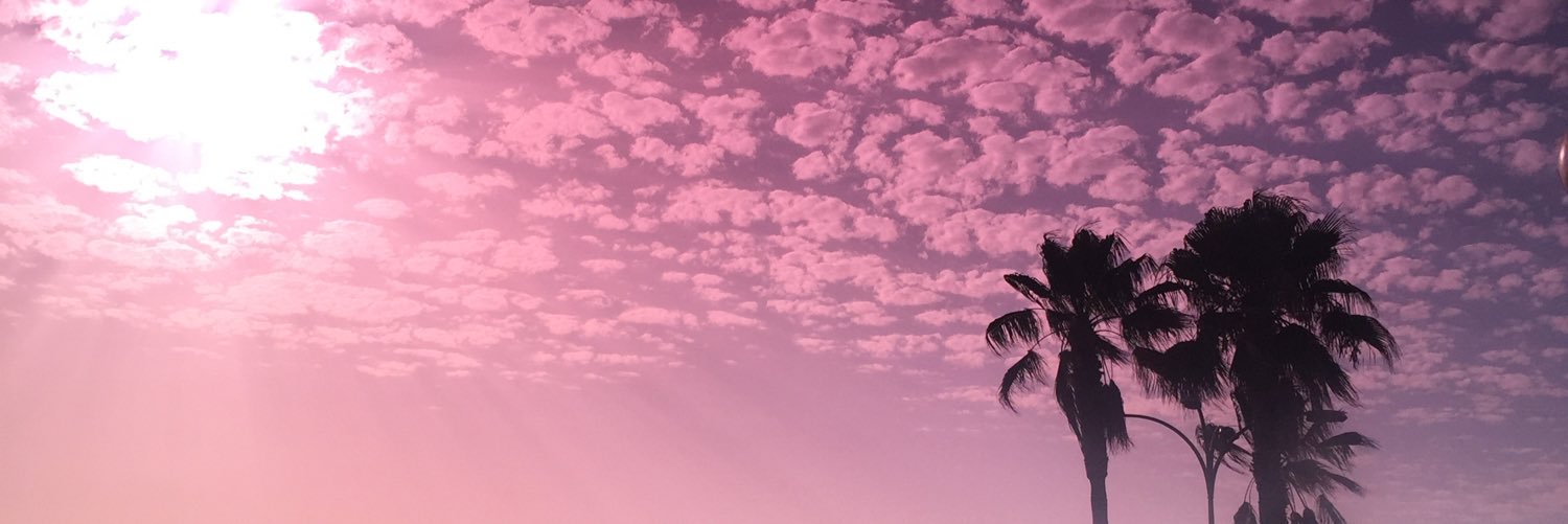 consdesara2's profile banner image
