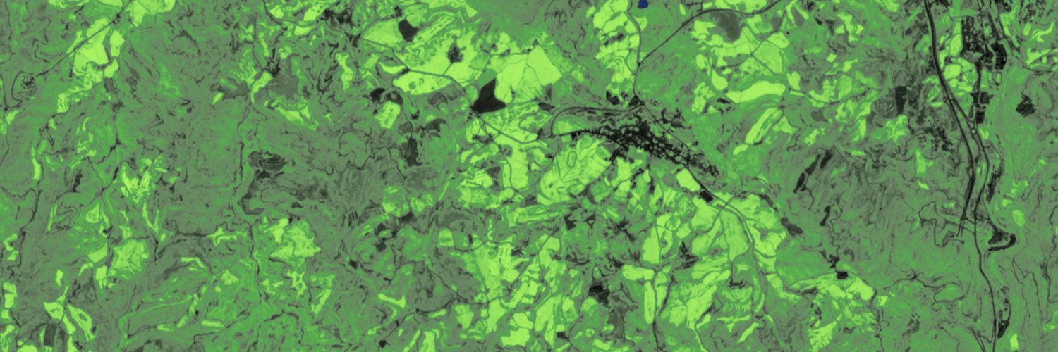 Núria Altimir banner