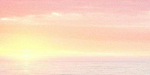 fx_f555's profile banner image