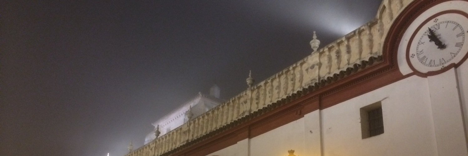 Exteban Torres banner