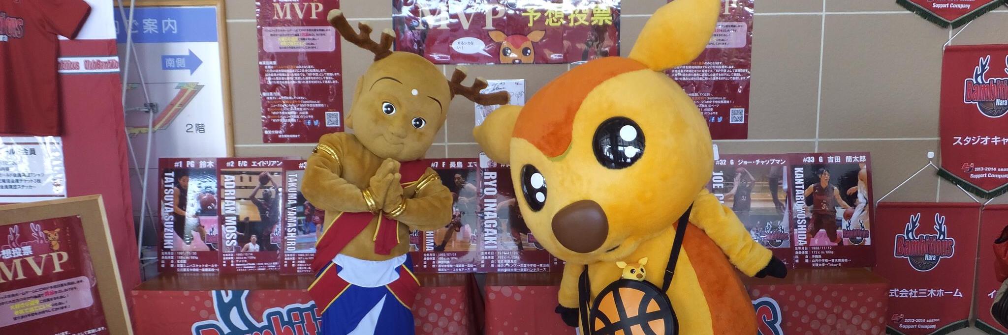 雪猫@どんぐり⛄ banner