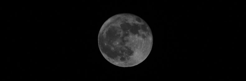 c_ss_ndra's profile banner image