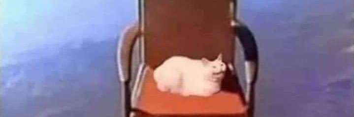 Antonio Valerio 🍉 banner