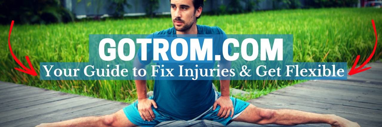 TheGotROM's profile banner image
