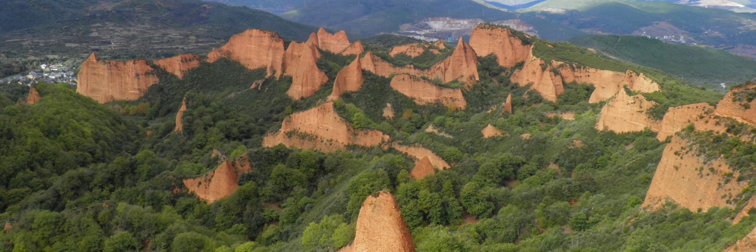 Guillermo Reher banner