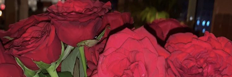 astridprimrose's profile banner image