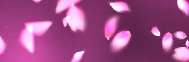 HiroRami1206's profile banner image