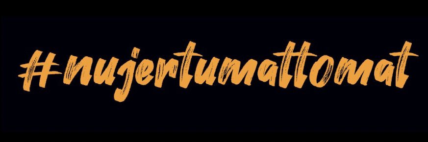 paunisat's profile banner image