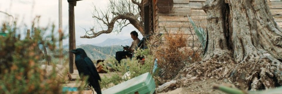 vircarrera_'s profile banner image