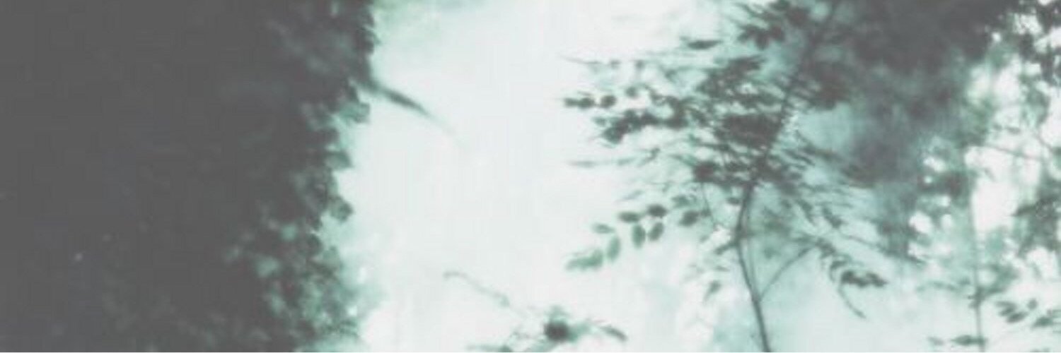 MeganRPGDDB's profile banner image