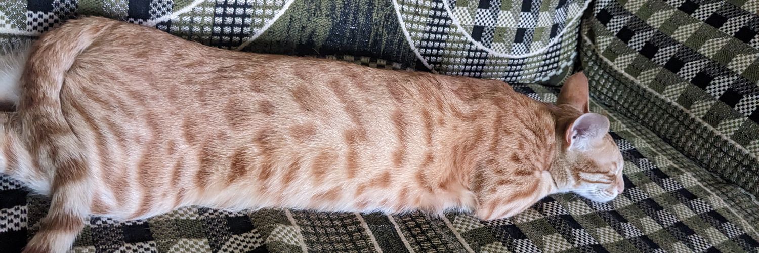 Anushka Trivedi・あん banner