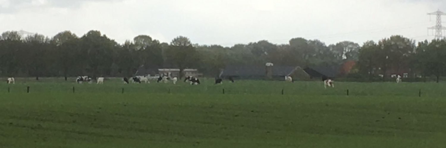 Bert Philipsen banner