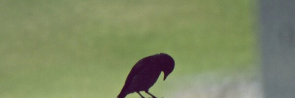 lkr1967 Profile Banner