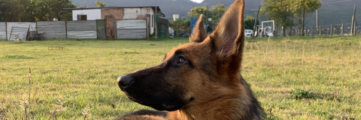 UrielRohez's profile banner image
