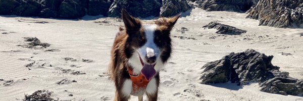 amirving1 Profile Banner