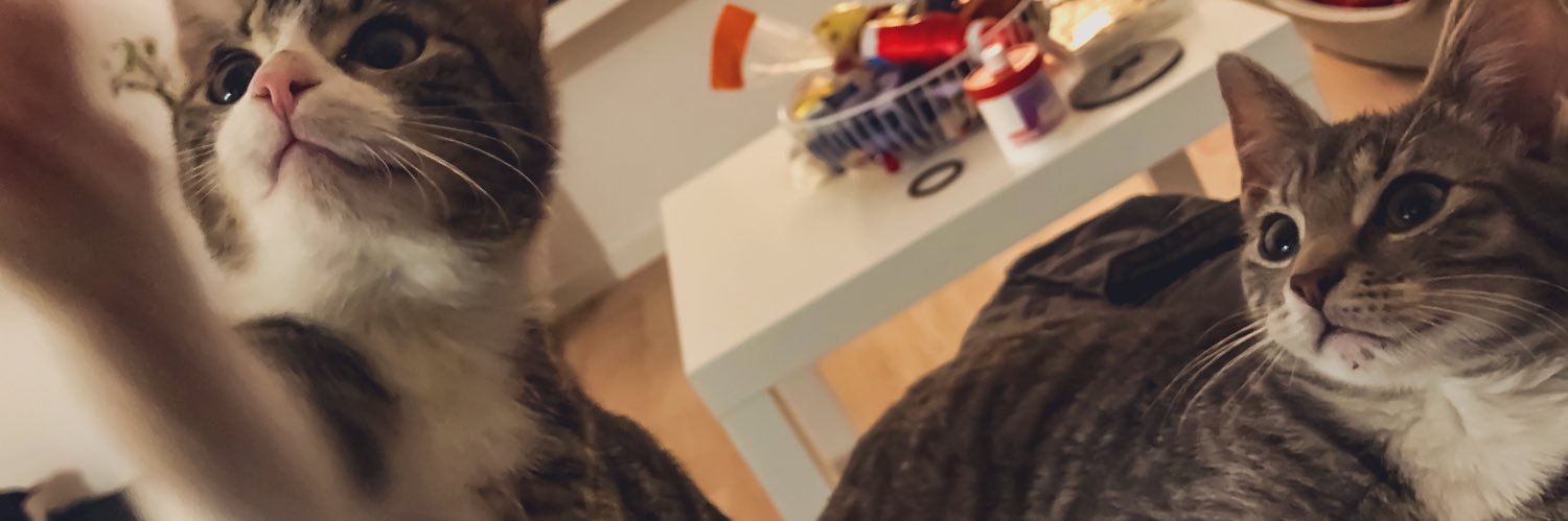 Sebastian 'y01' banner