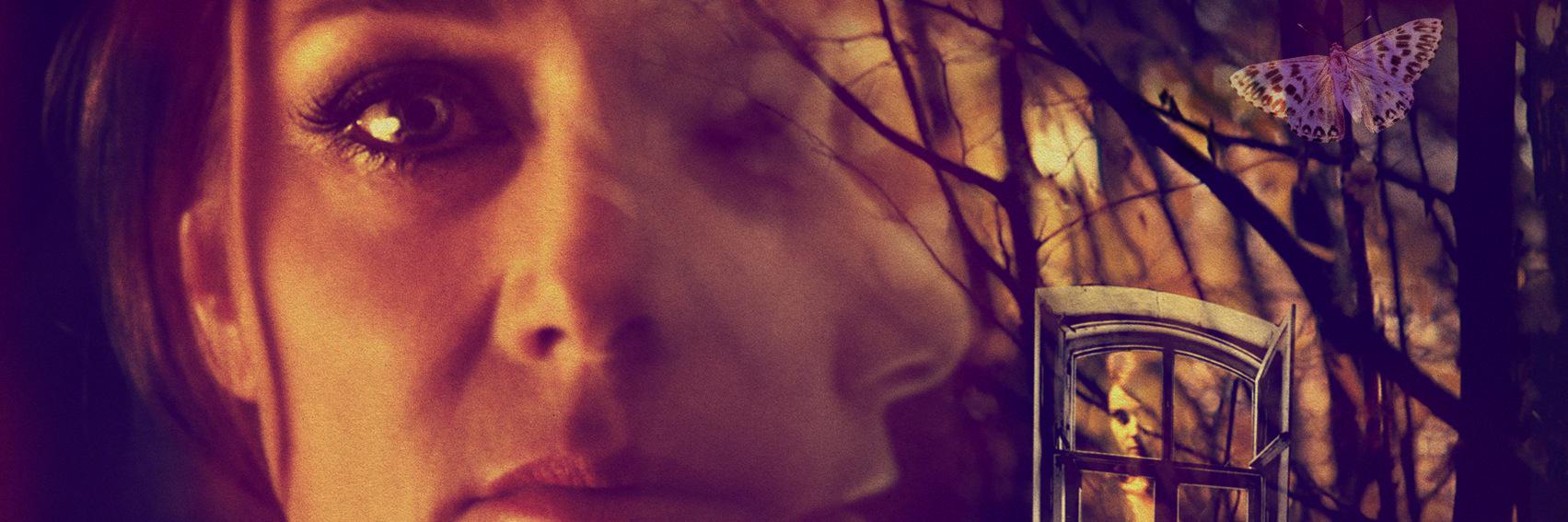 dukeofburgundy's profile banner image