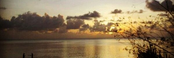 edytem Profile Banner