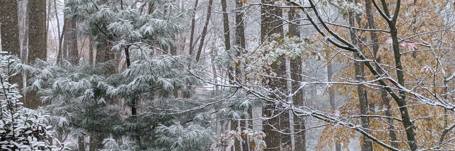 AnxiousWizardry's profile banner image