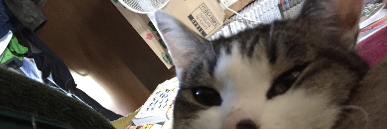 f_sato8's profile banner image