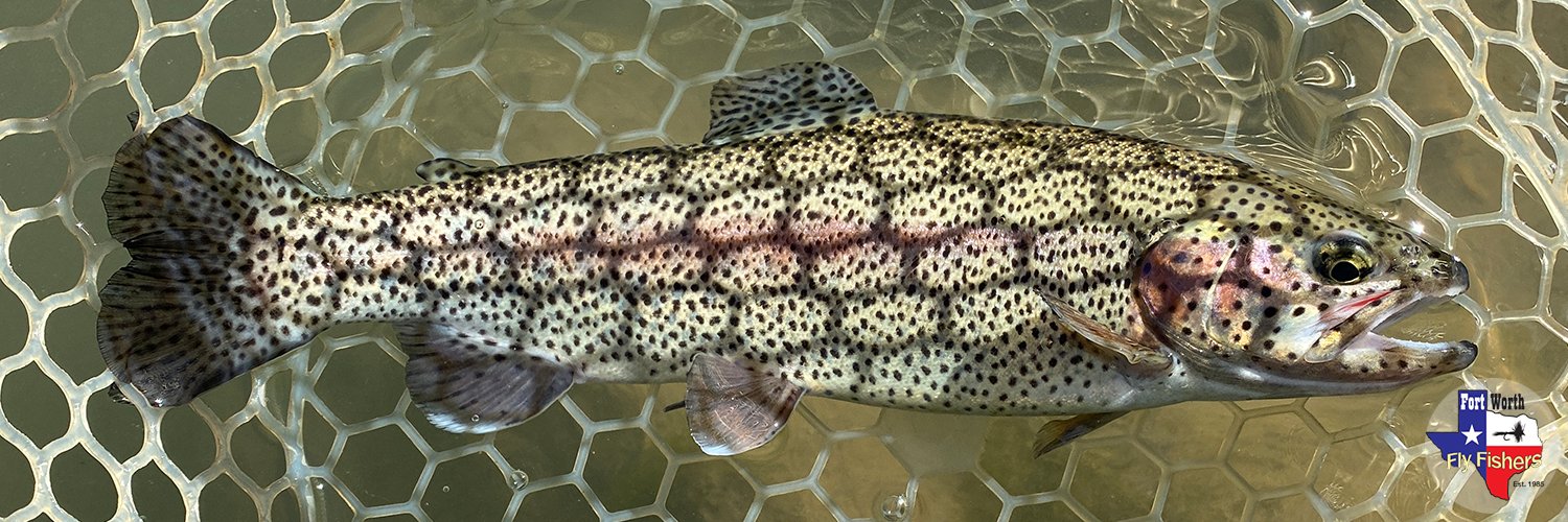 FWFlyFishers's profile banner image
