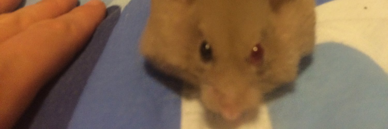 FjFlapjack's profile banner image
