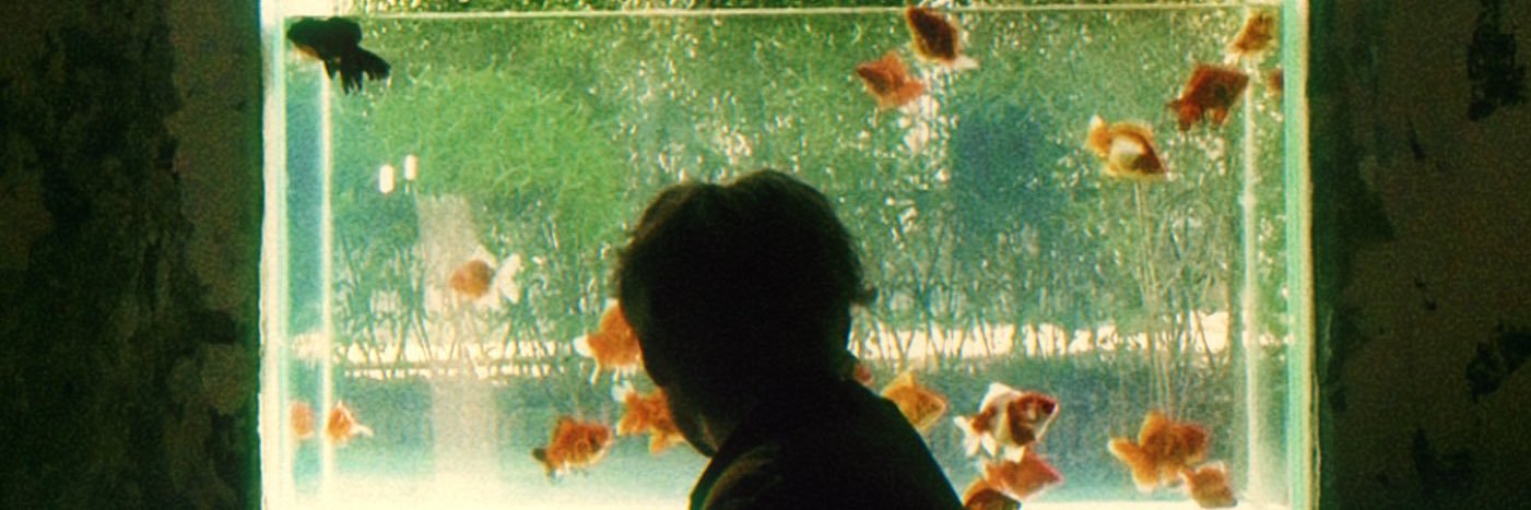 BEe🍥 banner