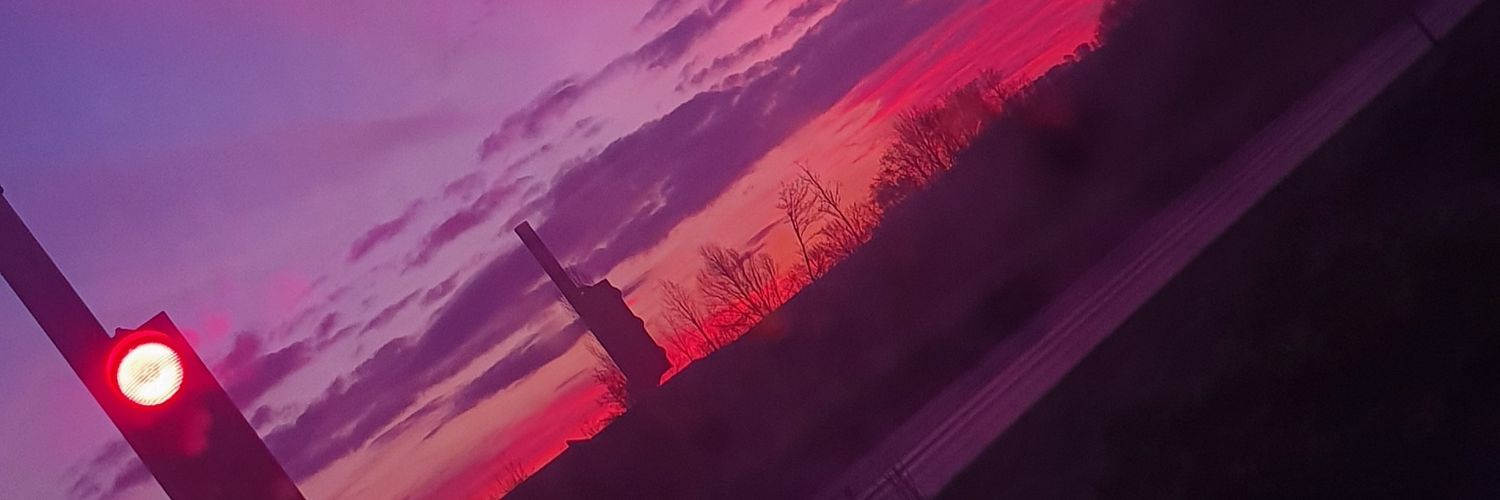 selinasmk's profile banner image