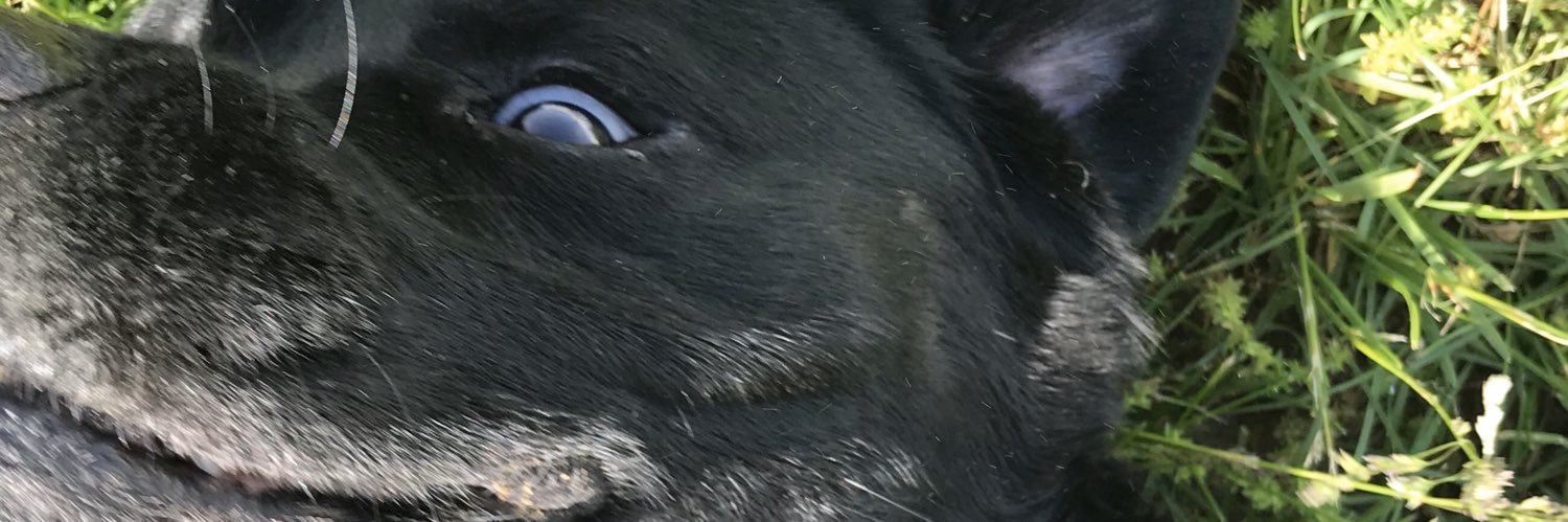magbtw's profile banner image