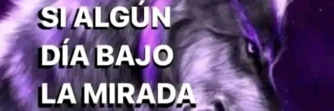 Lafakiubb's profile banner image