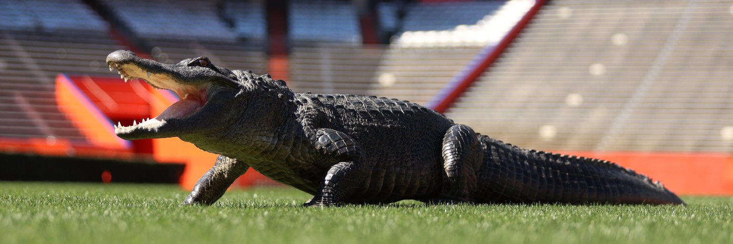 GatorsPartners's profile banner image