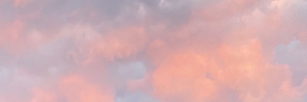 haleylogsdon18's profile banner image