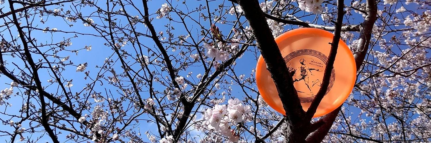 AkipandaYuzukko's profile banner image