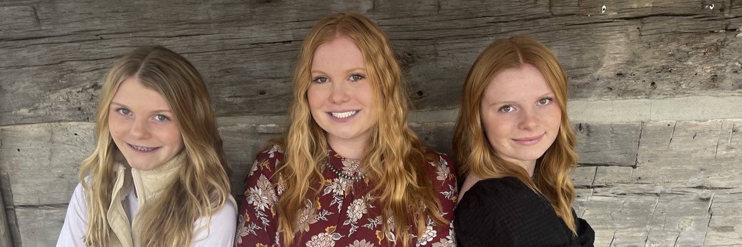 3DArtMMS's profile banner image
