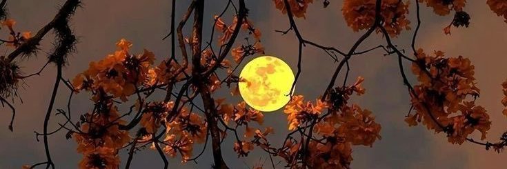 . banner