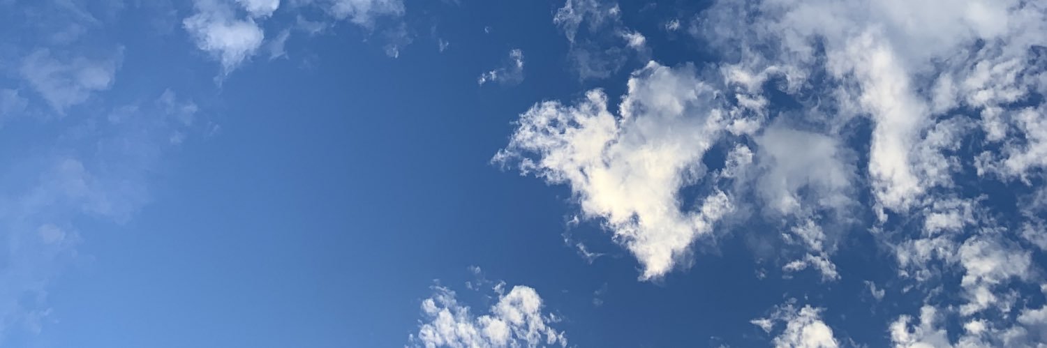 iaraa_8's profile banner image